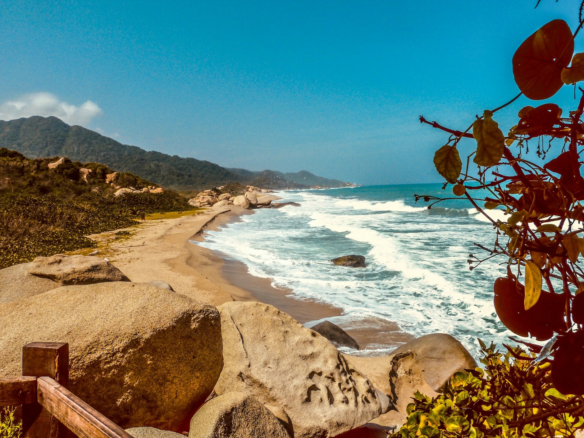 colom photo 1612815867823 85cf0957890b